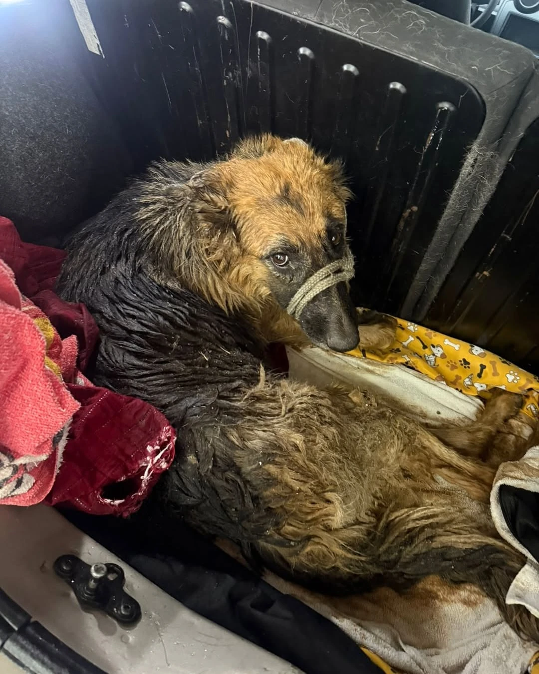 Athena antes do resgate