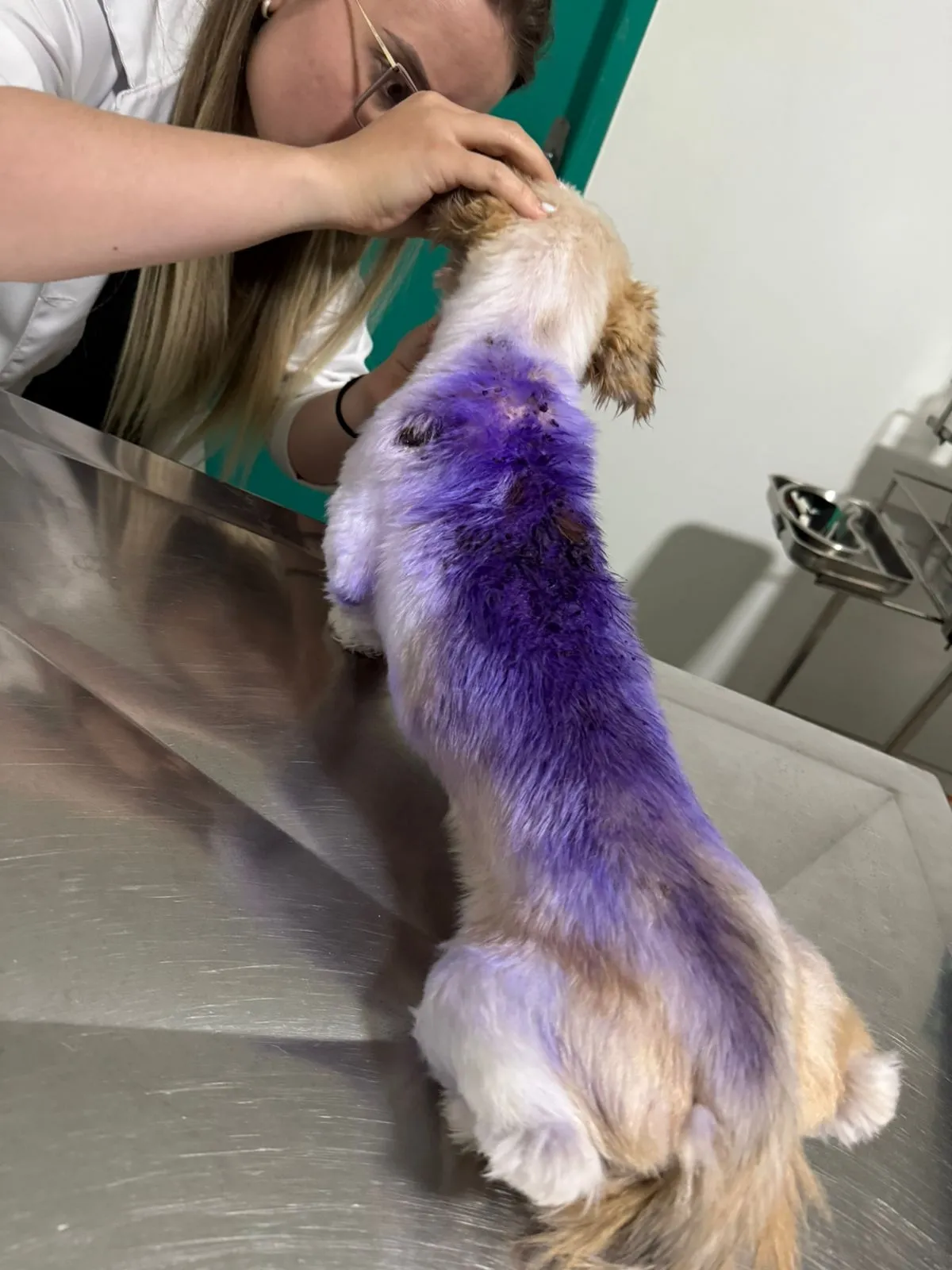 Maya antes do resgate